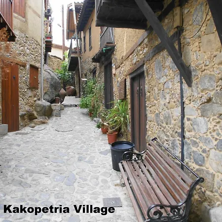 Metaxas Mansion Venkovský dům *